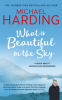 Michael Harding - What is Beautiful in the Sky artwork