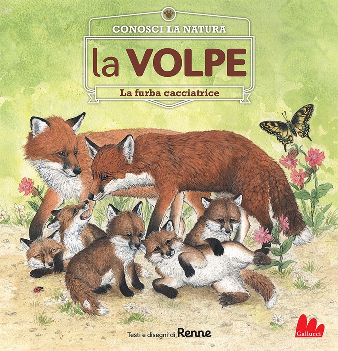 Conosci la natura. la VOLPE