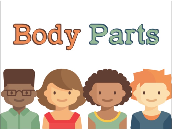 Body Parts, Multimodal Vocabulary Activity Book