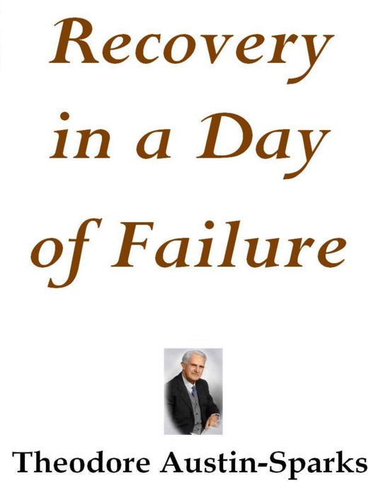 Recovery in a Day of Failure