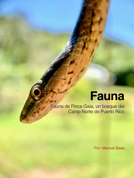 Fauna Finca Gaia eBook