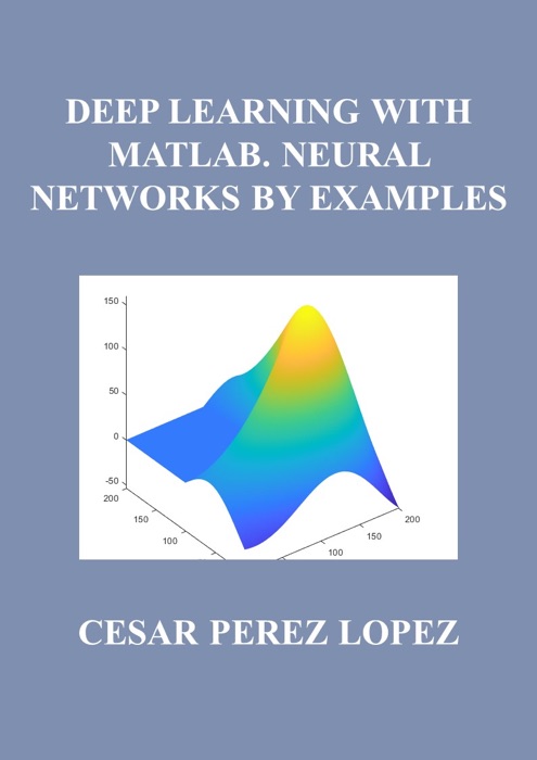 DEEP LEARNING WITH MATLAB. NEURAL NETWORKS BY EXAMPLES