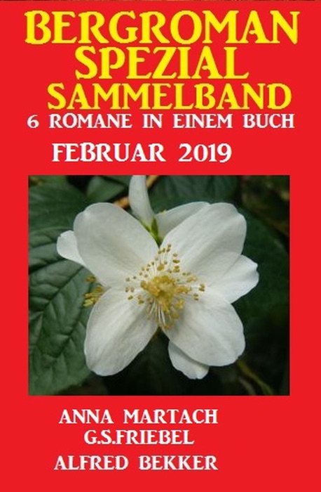 Bergroman Spezial Sammelband 6 Romane Februar 2019