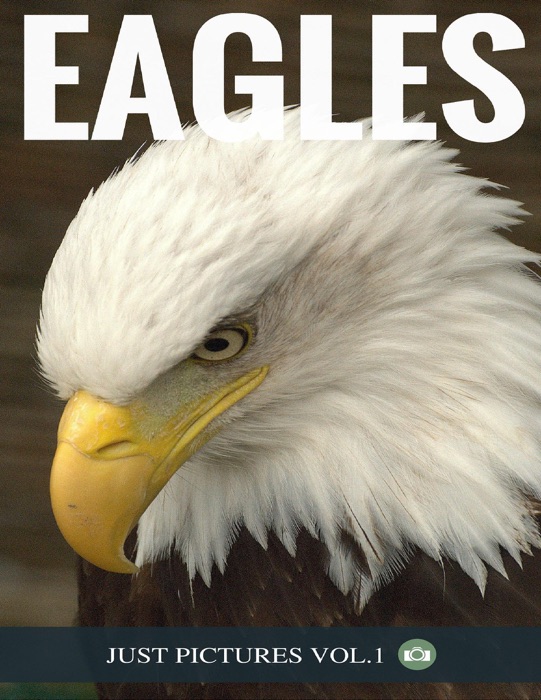 Eagles