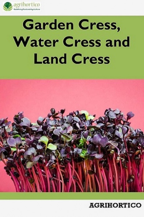 Garden Cress, Water Cress and Land Cress