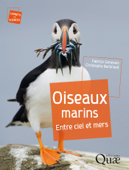 Oiseaux marins - Fabrice Genevois