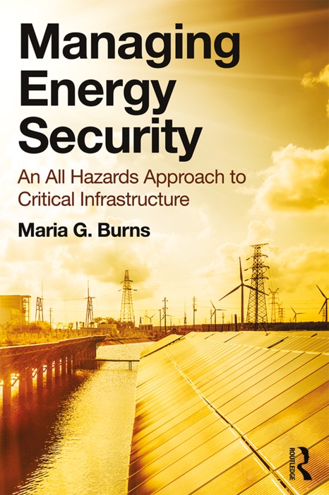 Managing Energy Security