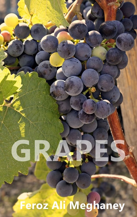 Grapes