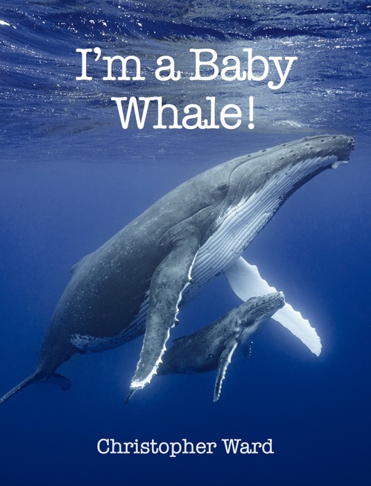 I'm a Baby Whale!