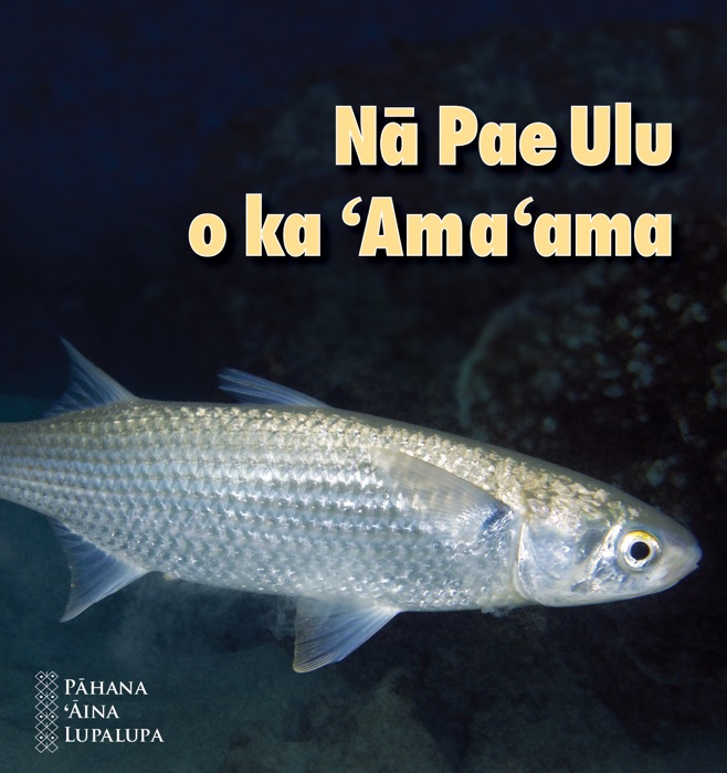 Nā Pae Ulu o ka ʻAmaʻAma (Hawaiian)