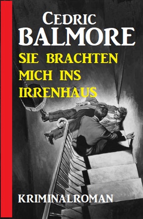 Sie brachten mich ins Irrenhaus: Kriminalroman