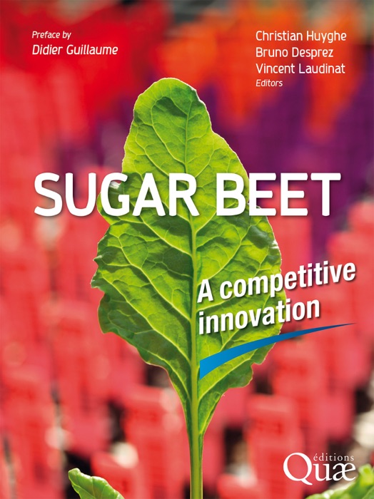 Sugar beet