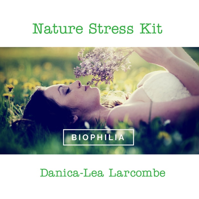 Nature Stress Kit