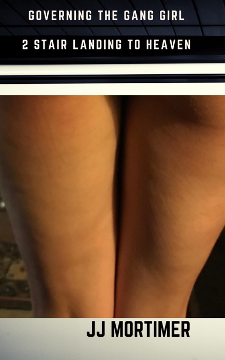 Governing the Gang Girl 2: Stair Landing to Heaven