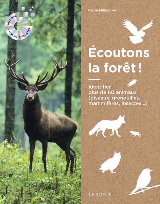 Ecoutons la forêt !