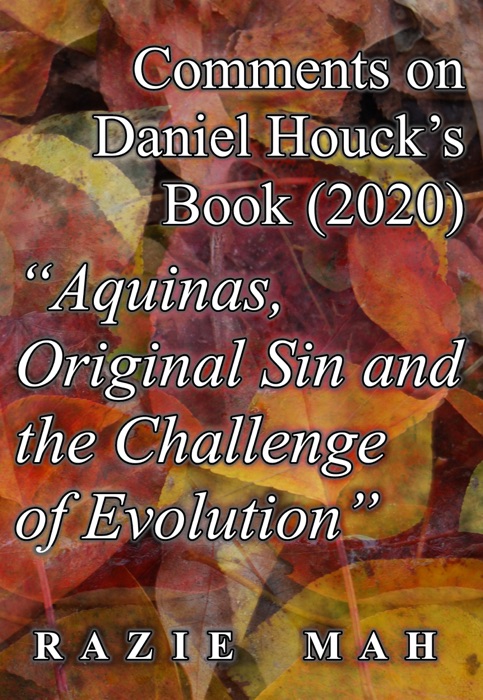 Comments on Daniel Houck’s Book (2020) 