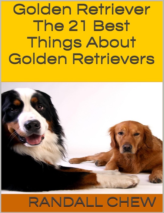 Golden Retriever: The 21 Best Things About Golden Retrievers