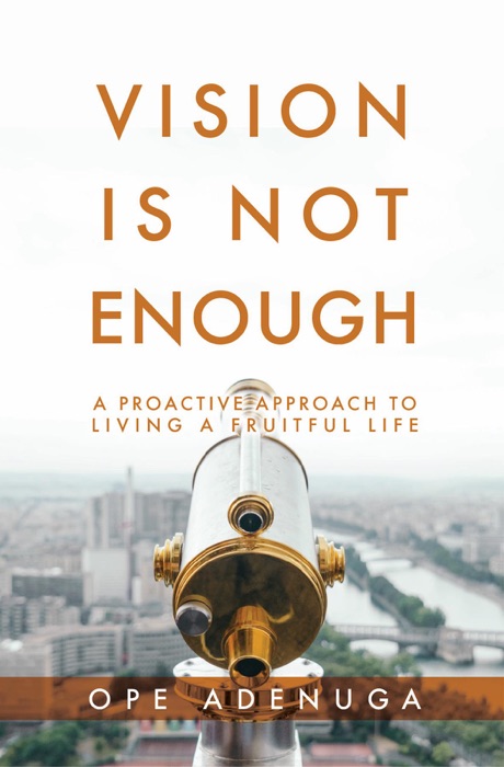 Vision Is Not Enough