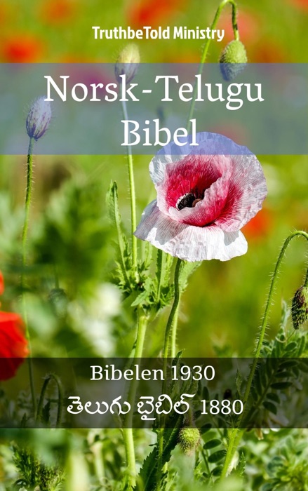 Norsk-Telugu Bibel