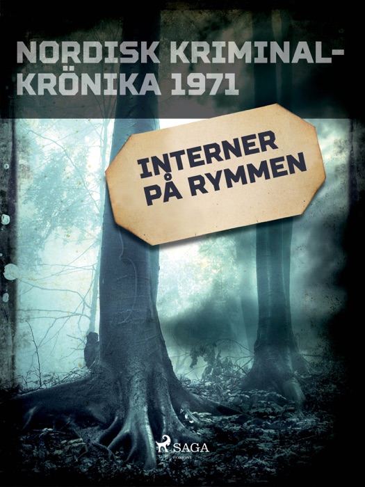Interner pÄ rymmen