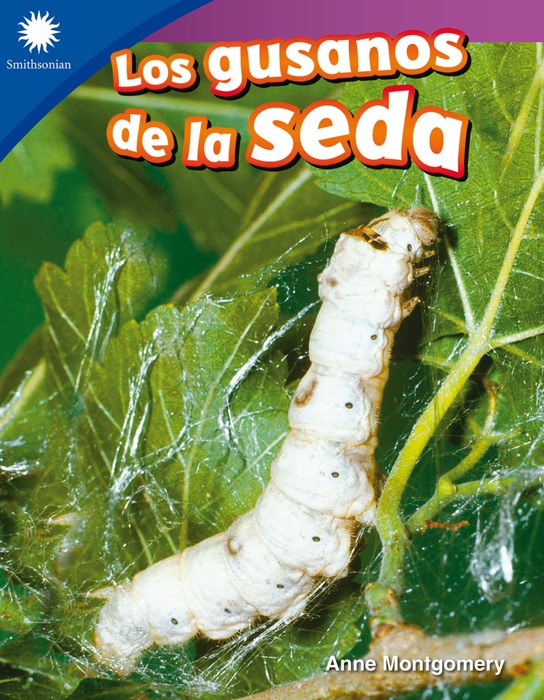 Los gusanos de la seda