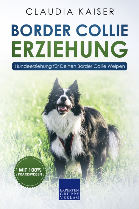 Border Collie Erziehung