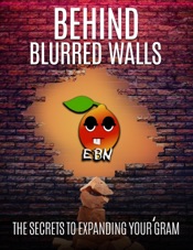 Download Behind Blurred Walls: Secrets to Expanding Your 'Gram
