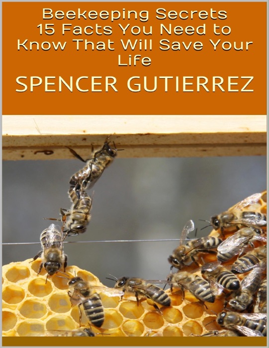 Beekeeping Secrets: 15 Facts You Need to Know That Will Save Your Life