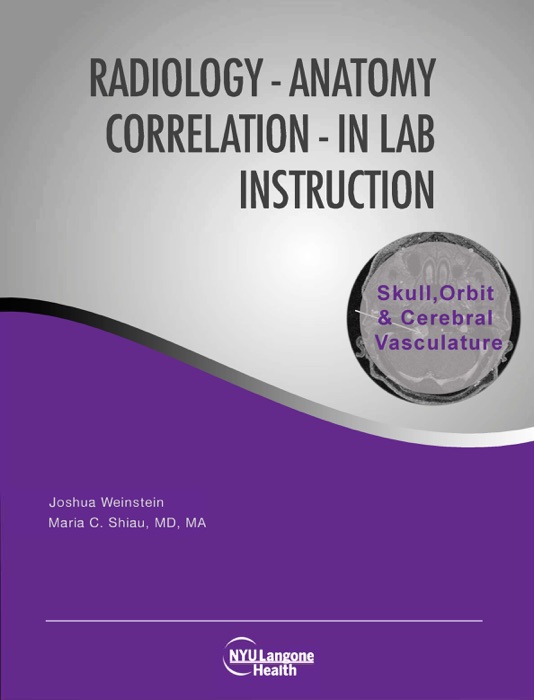 Radiology - Anatomy Correlation - In Lab Instruction