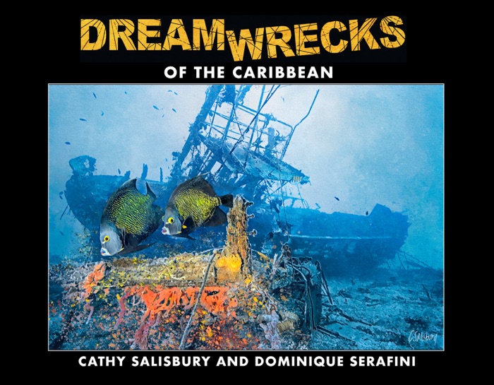 Dreamwrecks of the Caribbean