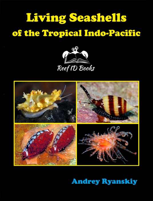 Living Seashells  of the Tropical Indo-Pacific