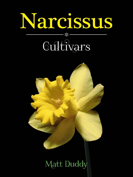 Narcissus Cultivars