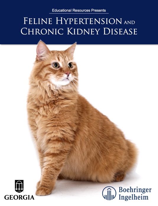 Feline Hypertension and Chronic Kidney Disease