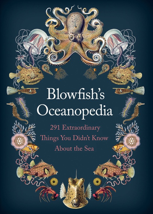 Blowfish's Oceanopedia