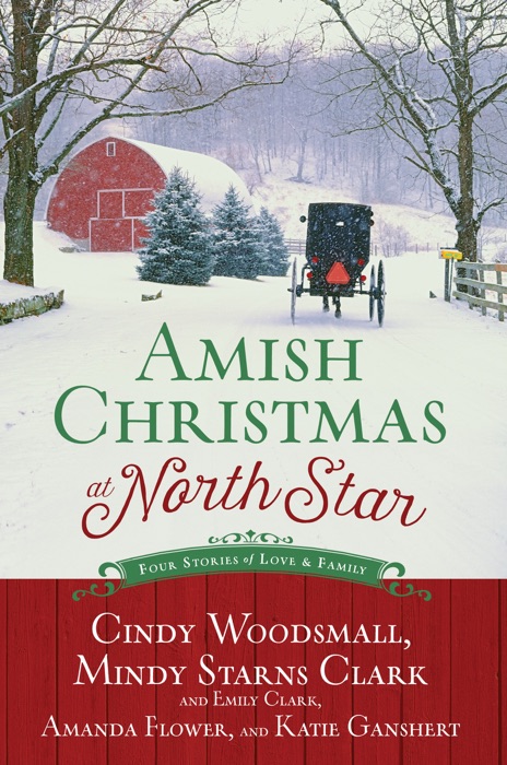 Amish Christmas at North Star