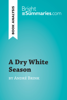 A Dry White Season by André Brink (Book Analysis) - Bright Summaries