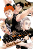 Haruichi Furudate - Haikyu!!, Vol. 44 artwork