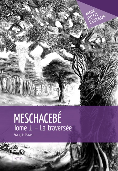 Meschacebé - Tome 1