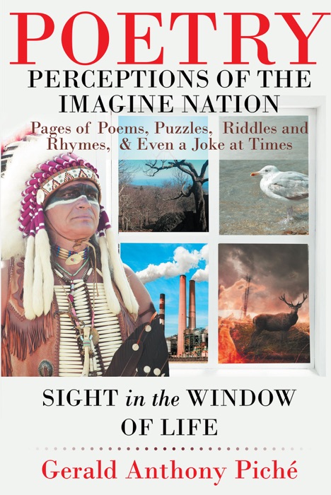 Perceptions of the Imagine Nation: Pages of Poems, Puzzles,  Riddles and Rhymes,  & Even a Joke at Times