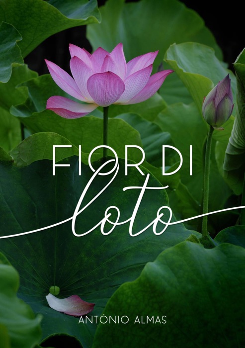 Fior di Loto