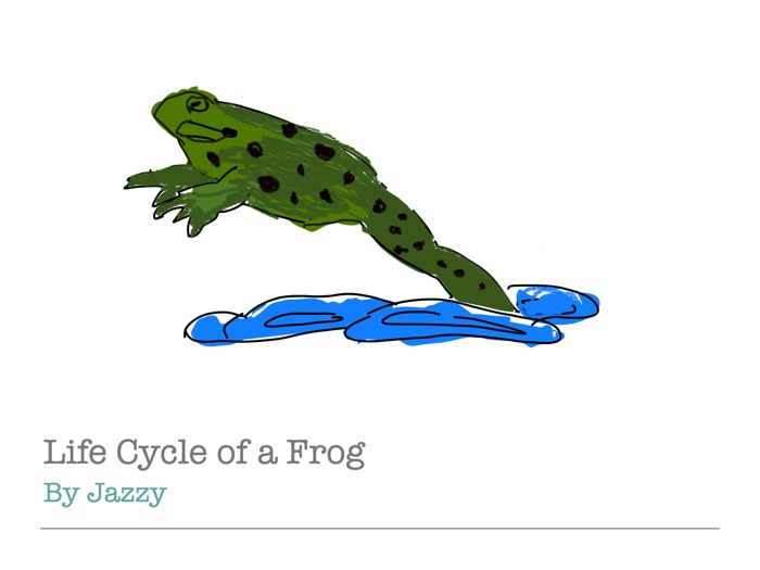 Frog Life Cycle