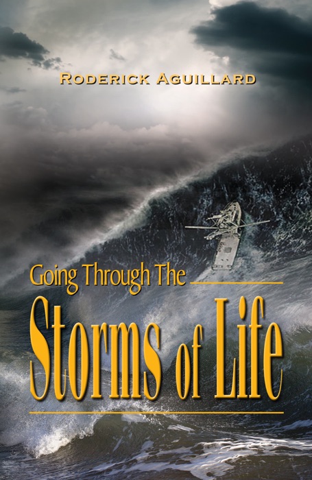 Going Through the Storms of Life