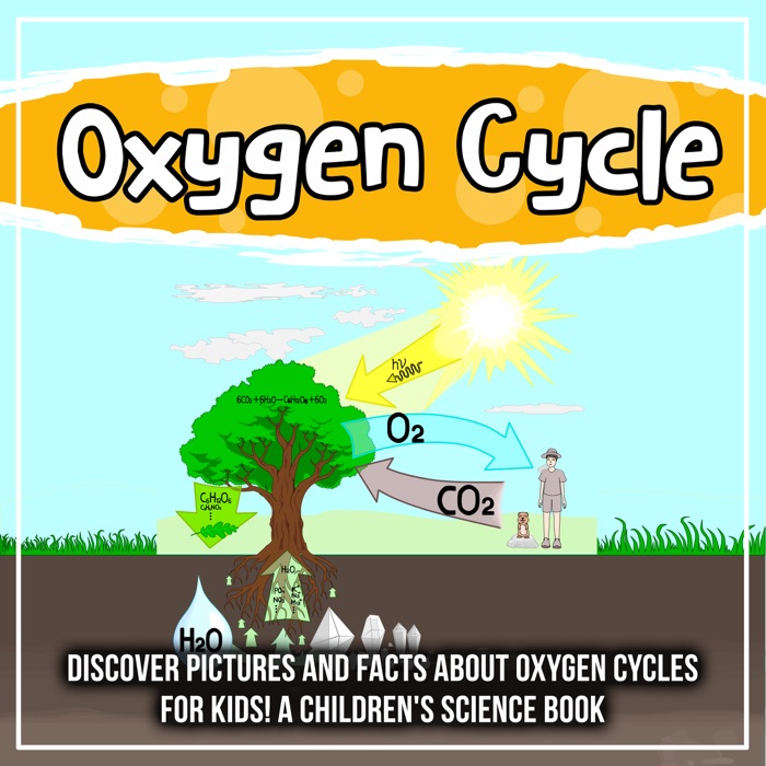 Oxygen Cycle: Discover Pictures and Facts About Oxygen Cycles For Kids! A Children's Science Book