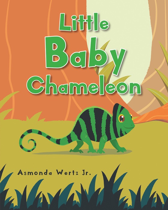 Little Baby Chameleon