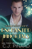 C.J. Pinard - Enchanted Immortals 2: The Vortex artwork