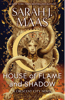 House of Flame and Shadow - Sarah J. Maas