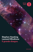 Il grande disegno - Stephen Hawking & Leonard Mlodinow