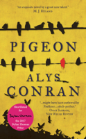 Alys Conran - Pigeon artwork