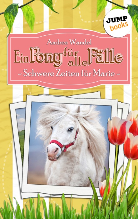 Ein Pony für alle Fälle - Achter Roman: Schwere Zeiten für Marie