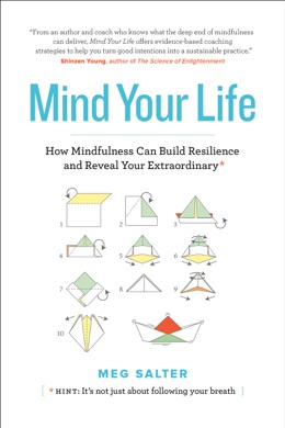 Capa do livro The Beginner's Guide to Meditation de Shinzen Young